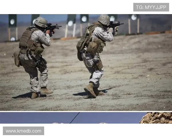 武汉攀岩队的战术创新与转换体系探索与实践分析