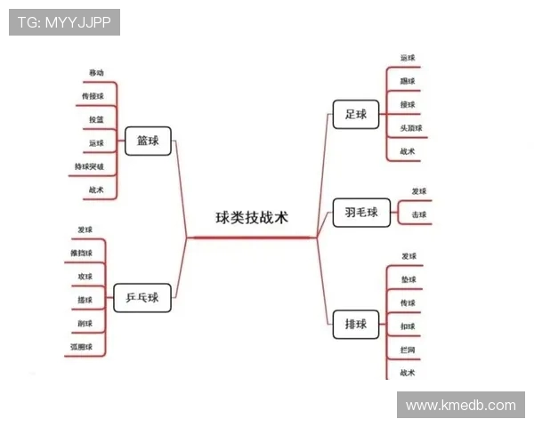 武汉排球队包夹战术解析与深度剖析排球竞技的魅力与挑战
